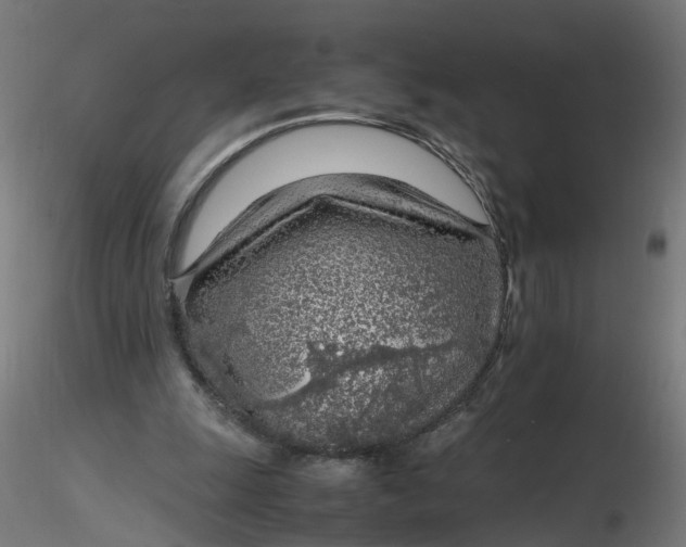 X0000116350247200912221508