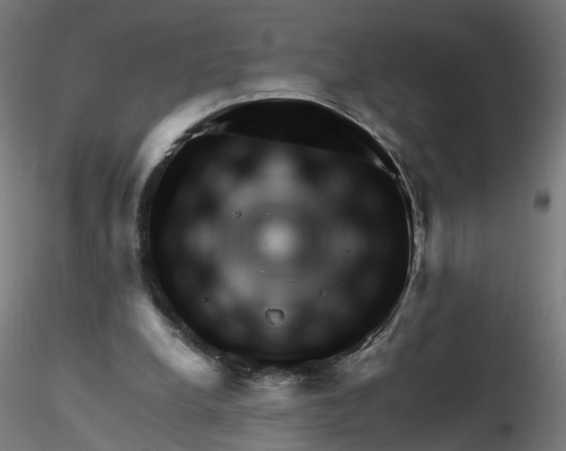 X0000116350248200912221508