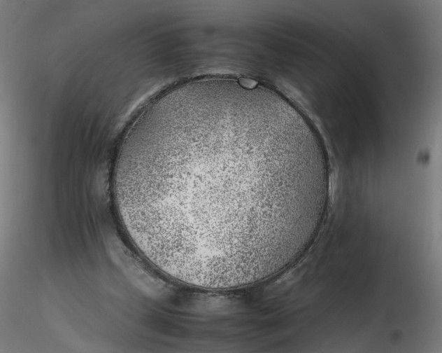 X0000116350249200912221508