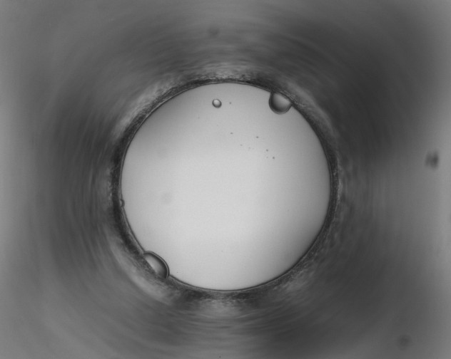 X0000116350250200912221508