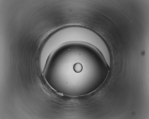 X0000116350252200912221508