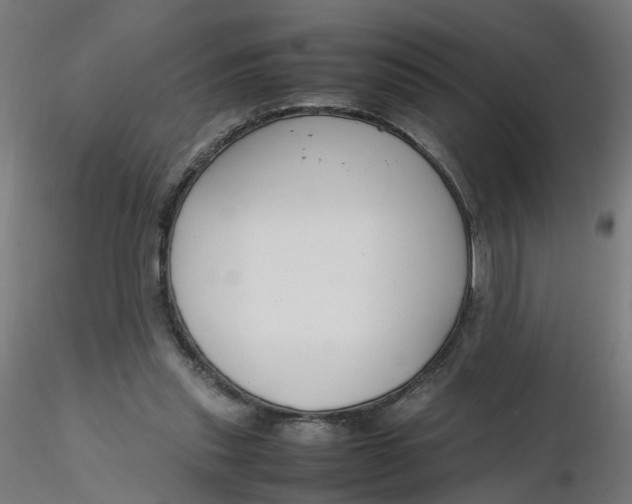 X0000116350253200912221508