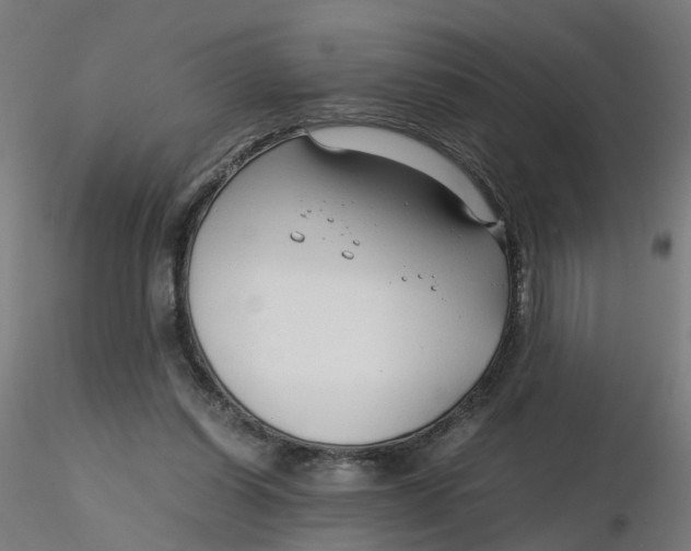 X0000116350254200912221508