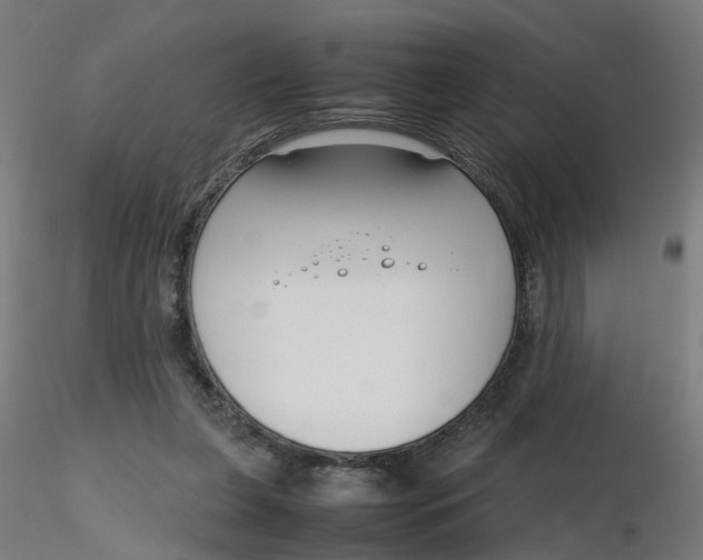 X0000116350255200912221508