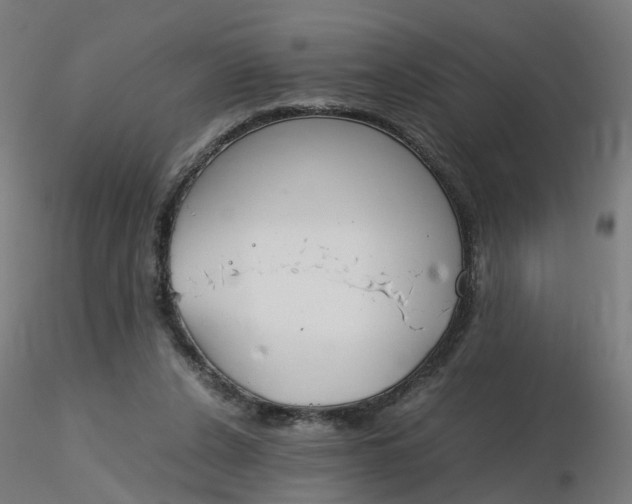 X0000116350256200912221508
