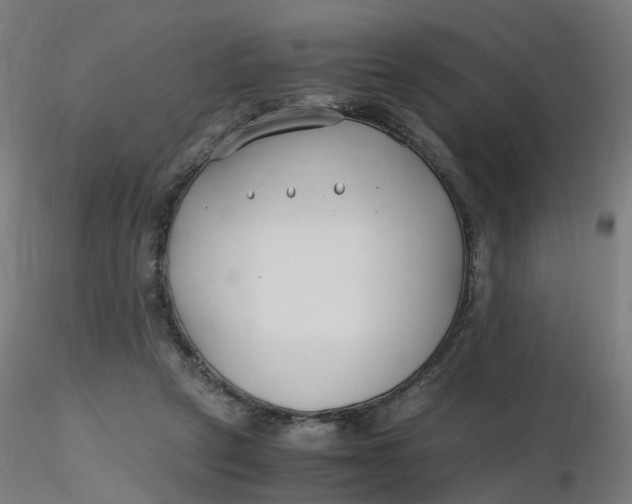X0000116350257200912221508