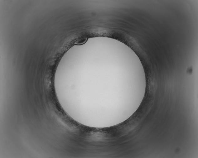 X0000116350259200912221508