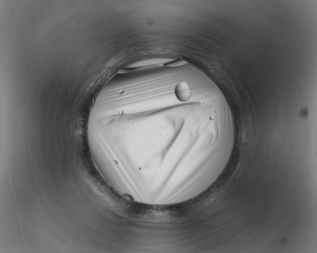 X0000116350260200912221508