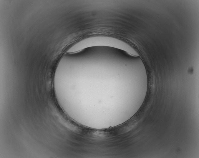 X0000116350261200912221508