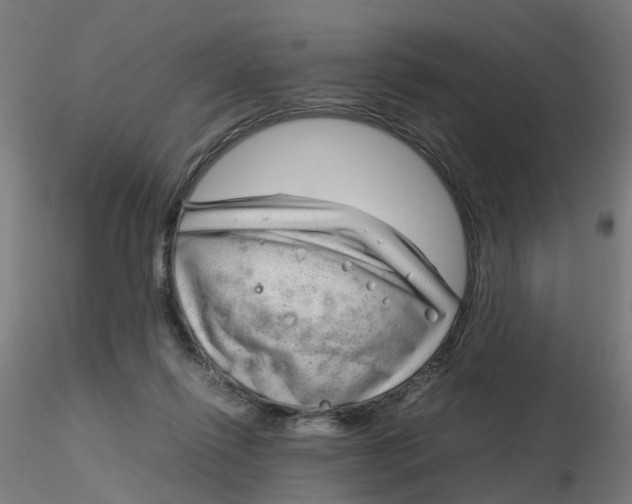 X0000116350262200912221508