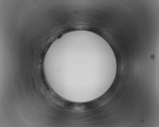 X0000116350263200912221508