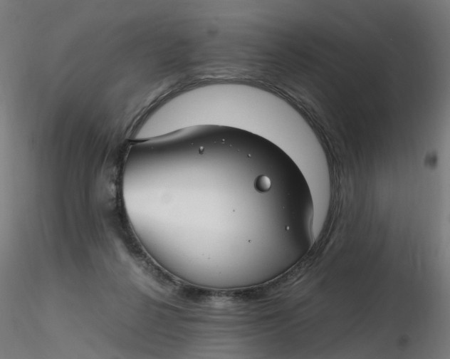 X0000116350264200912221508