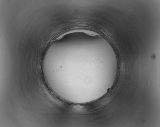 X0000116350265200912221508