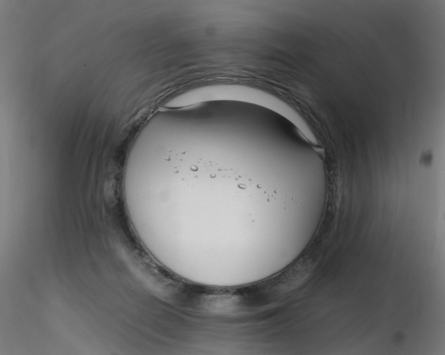 X0000116350266200912221508