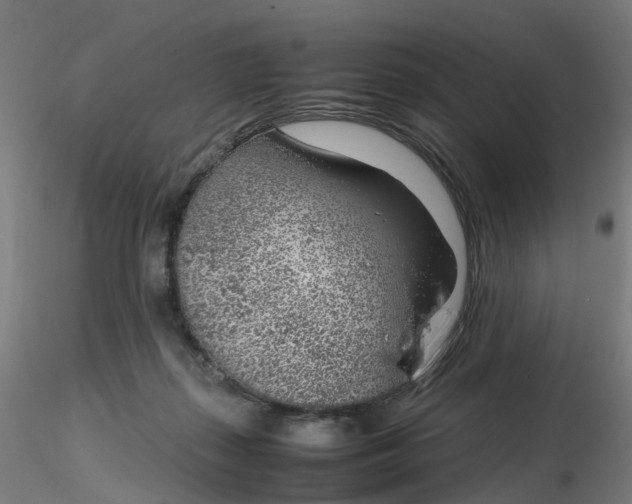 X0000116350267200912221508