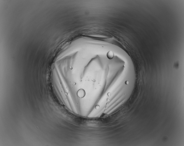 X0000116350268200912221508