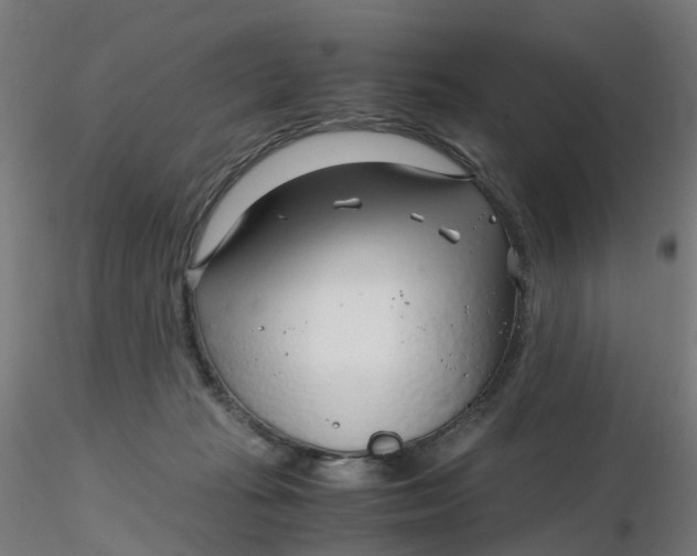 X0000116350269200912221508
