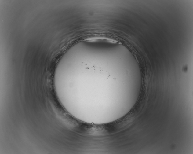 X0000116350270200912221508