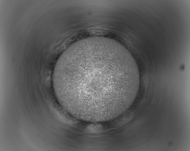 X0000116350271200912221508