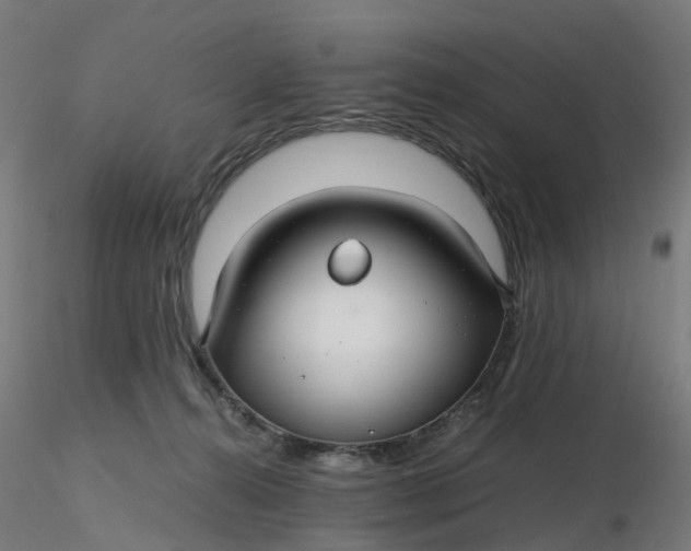 X0000116350272200912221508