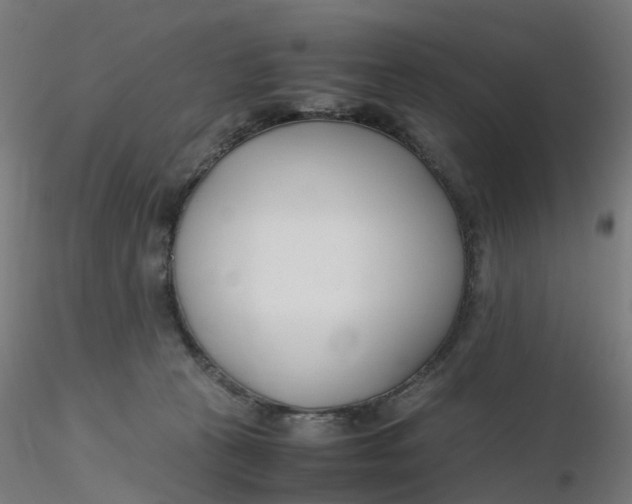 X0000116350273200912221508