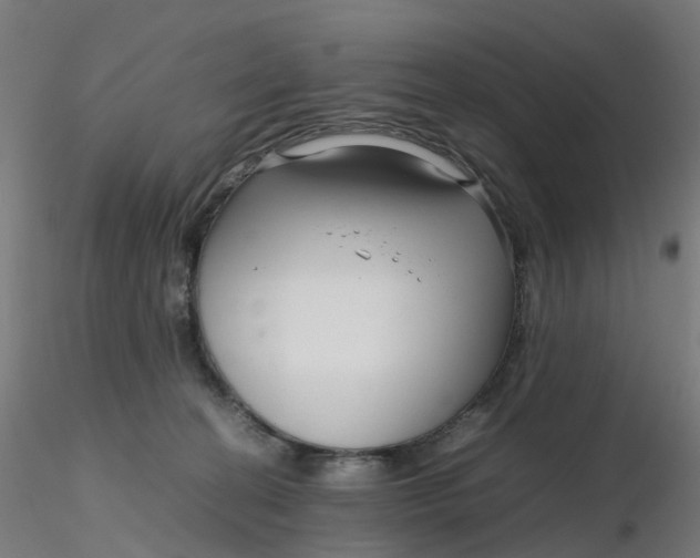 X0000116350274200912221508