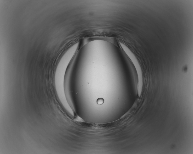 X0000116350276200912221508