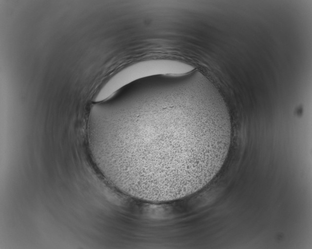 X0000116350277200912221508