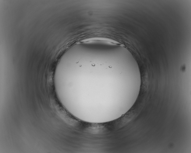 X0000116350278200912221508