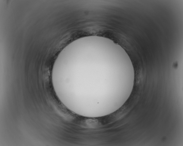 X0000116350279200912221508
