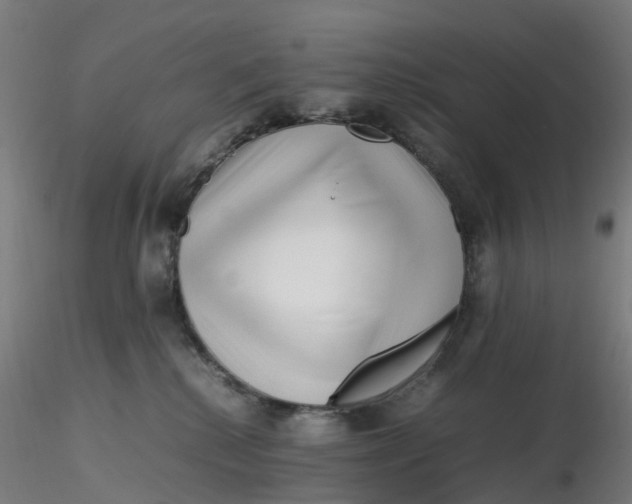 X0000116350280200912221508