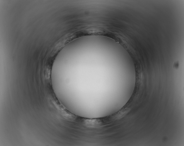 X0000116350281200912221508