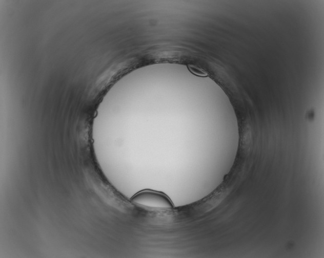 X0000116350282200912221508