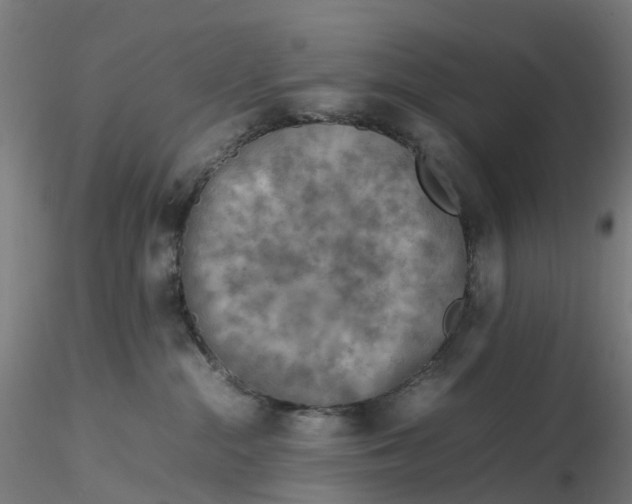 X0000116350284200912221508