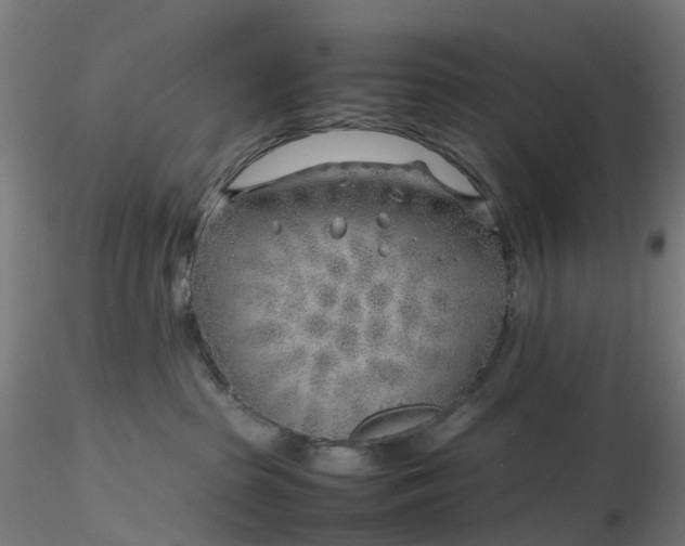 X0000116350285200912221508