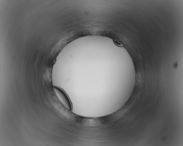 X0000116350286200912221508