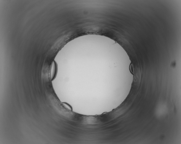 X0000116350287200912221508