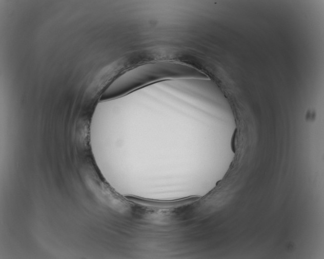X0000116350288200912221508