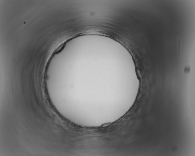 X0000116350289200912221508