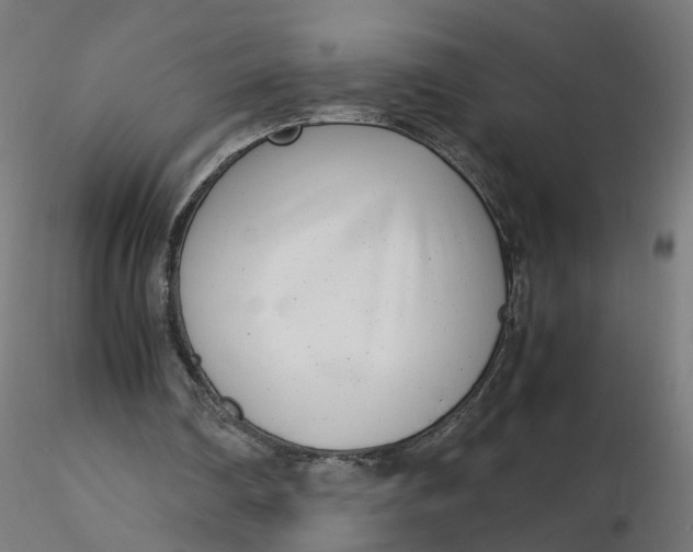 X0000116350290200912221508