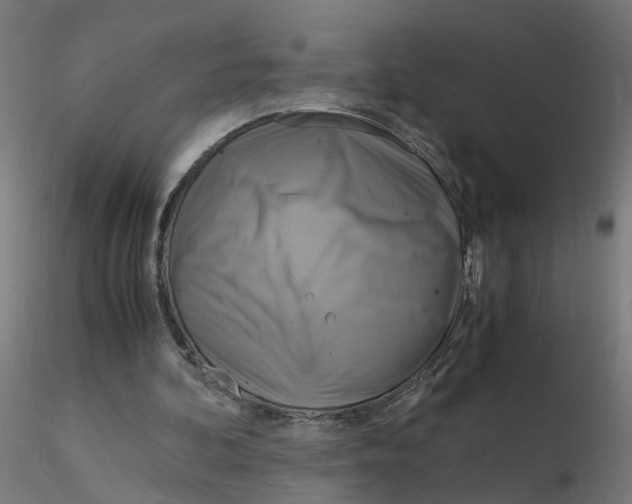 X0000116350292200912221508