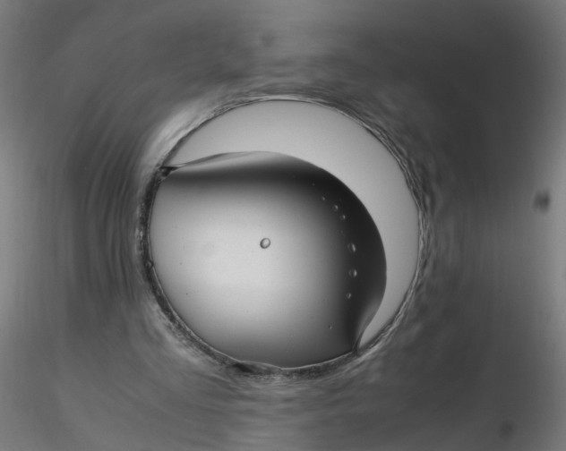 X0000116350293200912221508