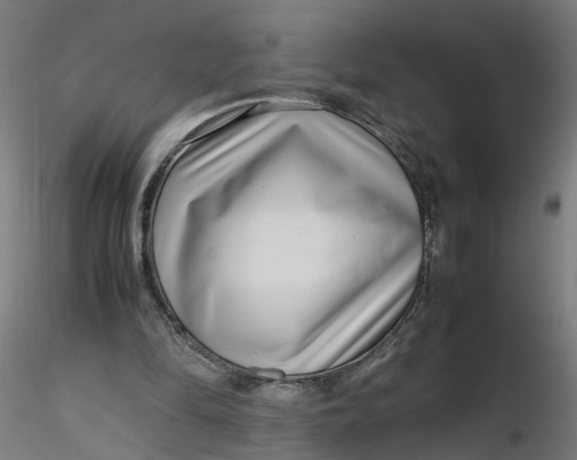 X0000116350294200912221508