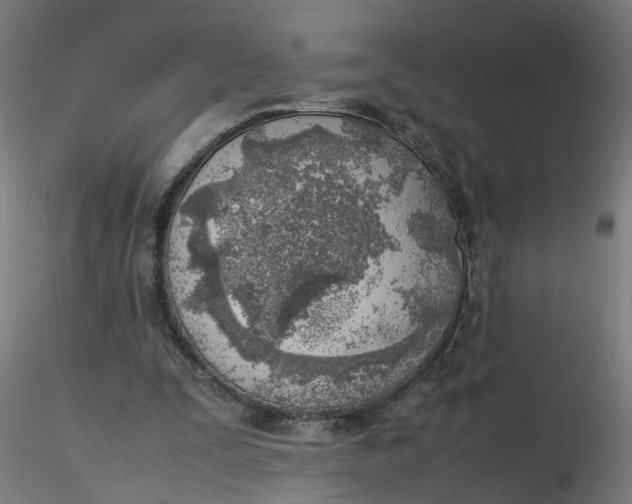 X0000116350295200912221508