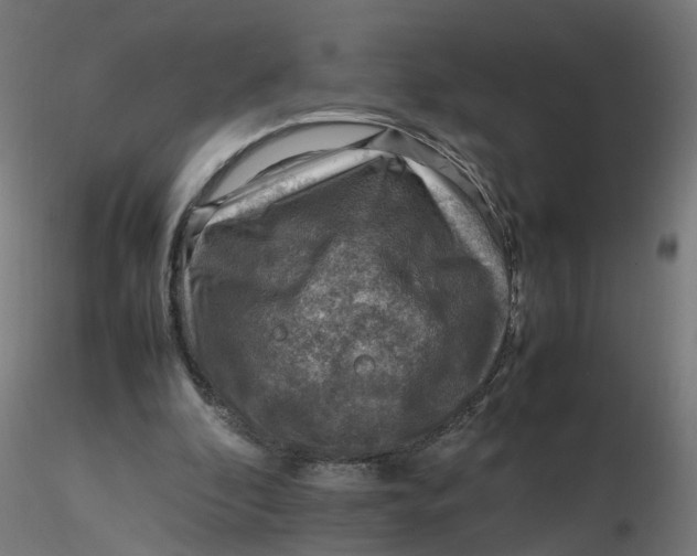 X0000116350296200912221507