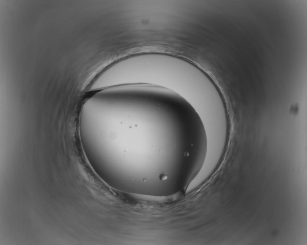 X0000116350297200912221507