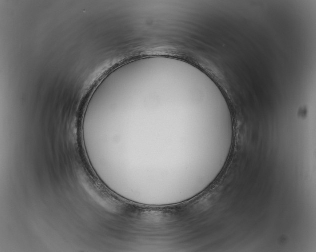X0000116350298200912221507