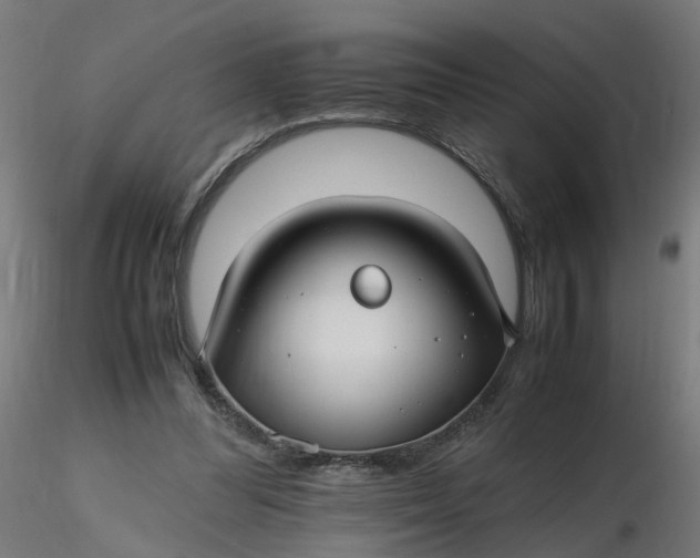 X0000116350300200912221507