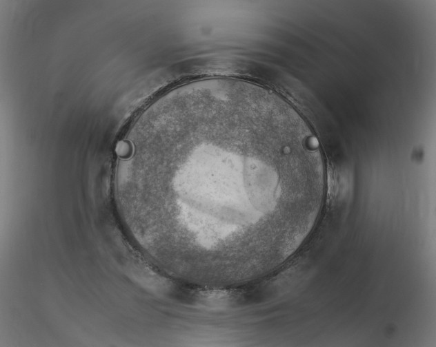 X0000116350301200912221507