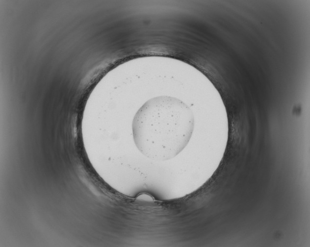 X0000116350302200912221507